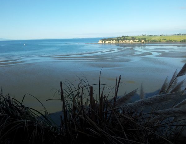 NZ Scenes Long Bay